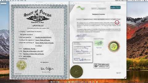 How to Apostille a Florida Divorce Certificate Translation