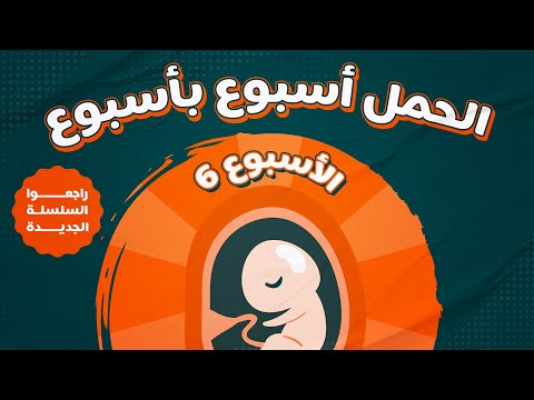 فيديو: هل 6 أسابيع ذروة الضيق؟