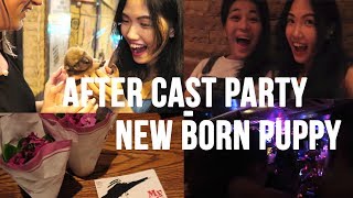 After Show Party & New Born Puppy