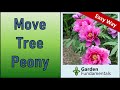 Best Way to Move a Tree Peony in Fall 🌸🌌🌈 Simple Method