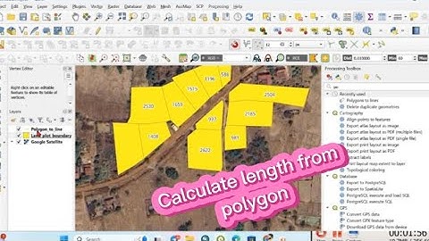 How to calculate length from polygon in QGIS