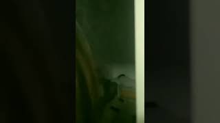 mateo a levantarse