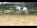 Le bonheur avec un cheval