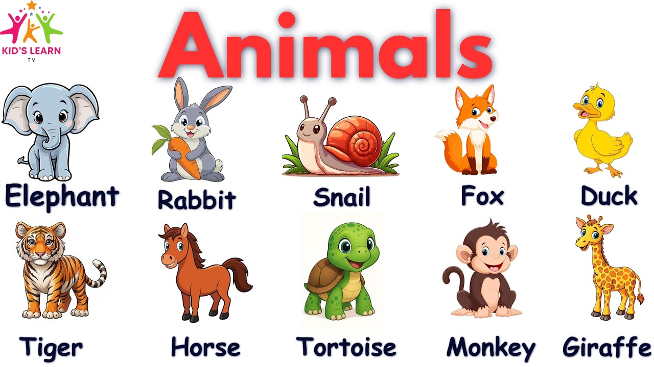 Animals Name in English | Animals Vocabulary in English | Learn Animal's Name  | Kids learn TV