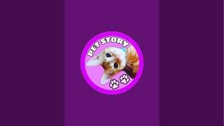 🍼赤ちゃん子猫ライブ配信中 😽 Saturday Night 9 Ragdoll Kittens Live Stream #live #ライブ配信 #生配信