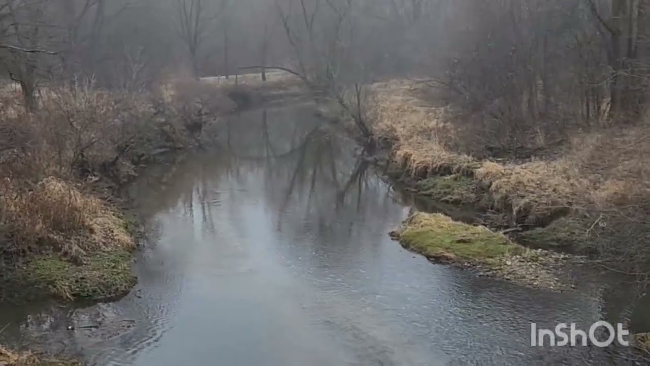 Schneider creek🌿🕊 at Kitchener |Ontario|