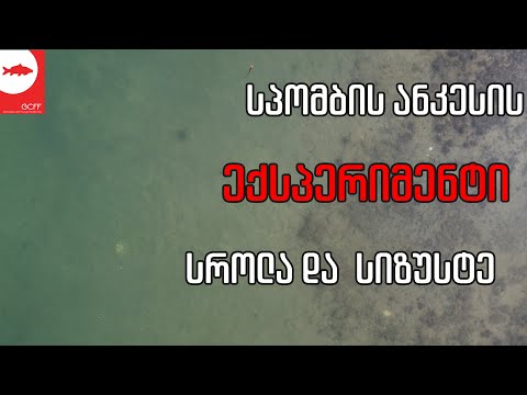 სპომბის სროლა და სიზუსტე - ექსპერიმენტი