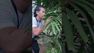 what happened, why did the goat lay so many more eggs? #shortsfeed #comedyshort #comedy #short