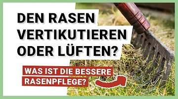 Ist Vertikutieren und Lüften das gleiche?