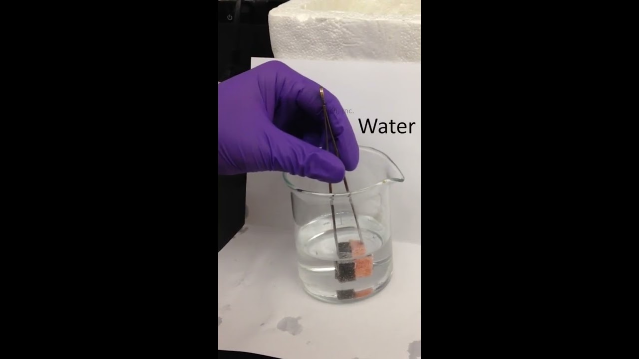 Oleophilic Hydrophobic Magnetic (OHM) Sponge - How does it work?