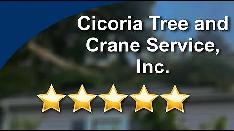 Cicoria Tree Service - 5 Star Review for Tree Care...