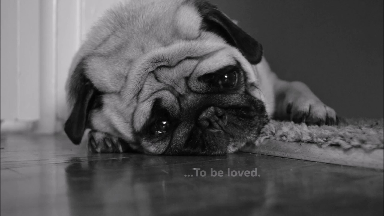 Печалька картинки прикольные с надписями