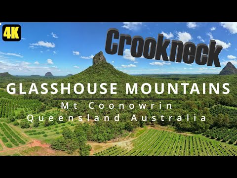 Mt Coonowrin GLASSHOUSE MOUNTAINS "Crookneck" 2022