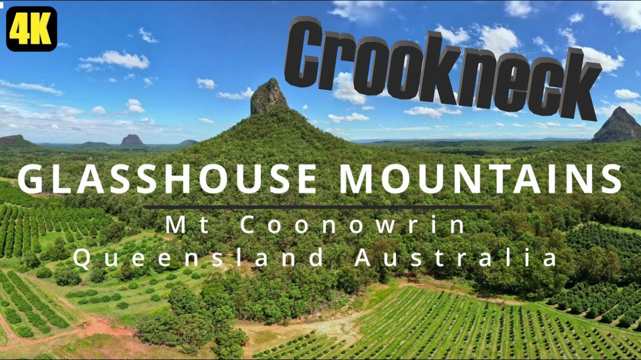 Mt Coonowrin GLASSHOUSE MOUNTAINS "Crookneck" 2022