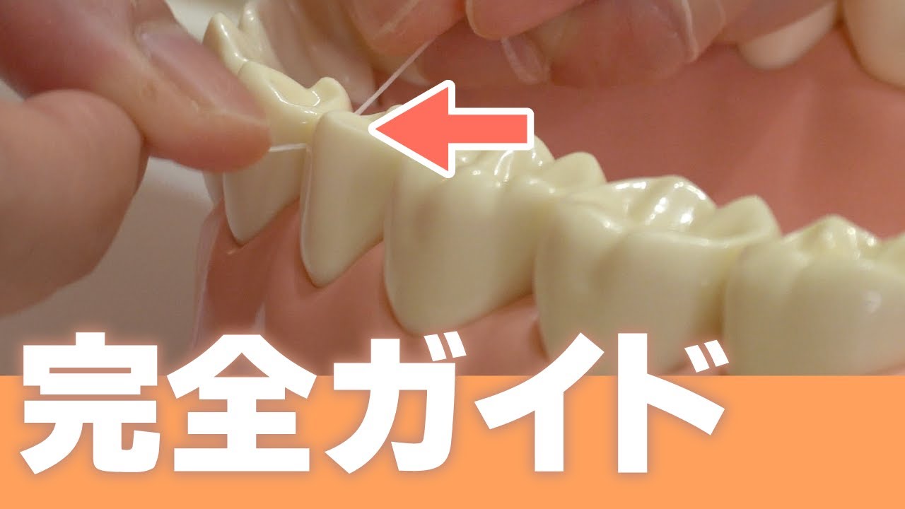 【歯の完全ガイド】歯科衛生士が教える究極のホームケア術！虫歯・プラーク予防