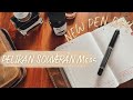 Pelikan souvern m605 stresemann review deutsch  new pen day   coyote diaries