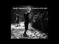 Andy summers  harmonics of the night full album hq