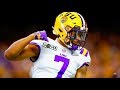 Best Safety in College Football 🐯 || LSU Safety Grant Delpit Highlights ᴴᴰ