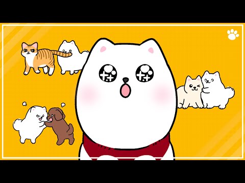 강아지 사회화 시기 행동과 교육 방법