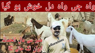 Munir Goat Farm Ka Maal Iran Tk Jane Laga 