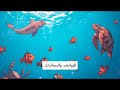علوم ٧ الفصل ٢  ١٠ ٤تصنيف النباتات  ١٠ ٥ تصنيف الفقاريات  ١٠ ٦ تصنيف اللافقاريات نجومي