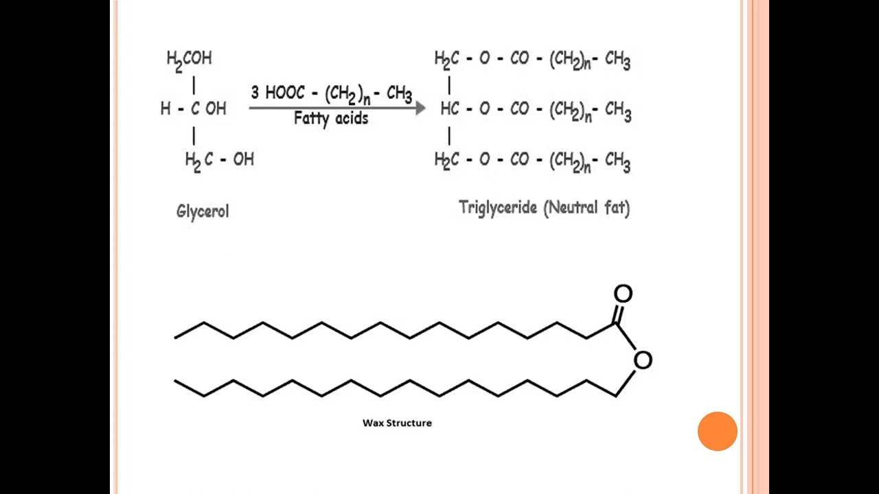Classification of Lipids