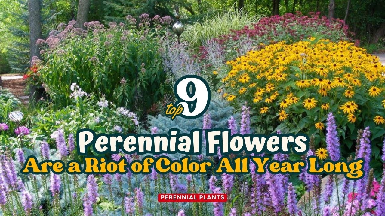 9 Best Perennial Flowers Are a Riot of Color All Year Long 🌻🌸👍 // Gardening Ideas