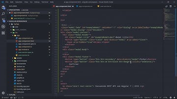 Consumindo uma (GO) API REST com Angular 7 Parte 5 # 29