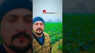 1 January 2024 youtube newyear viral agriculture