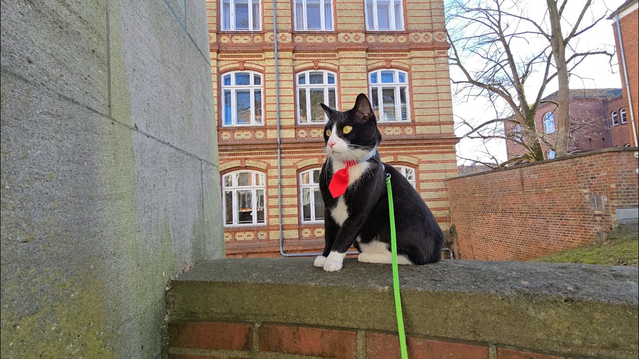 Erster Spaziergang 2.3.2026