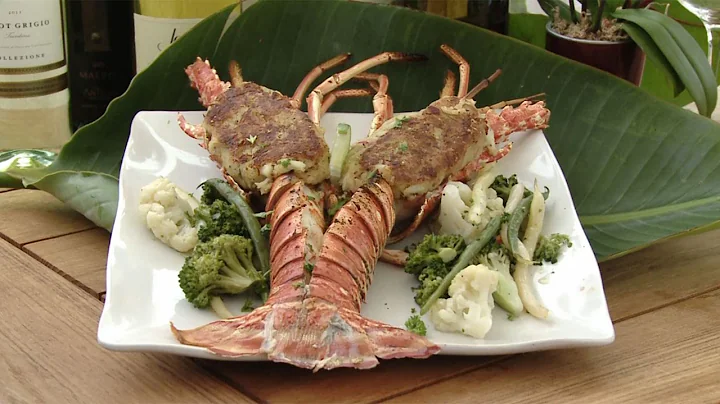 Jennifer Hammer from Snook's Bayside - Celebrity C...