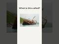 What Is This Called? | Deep Sea Diving | English Quiz #101 #learnenglish