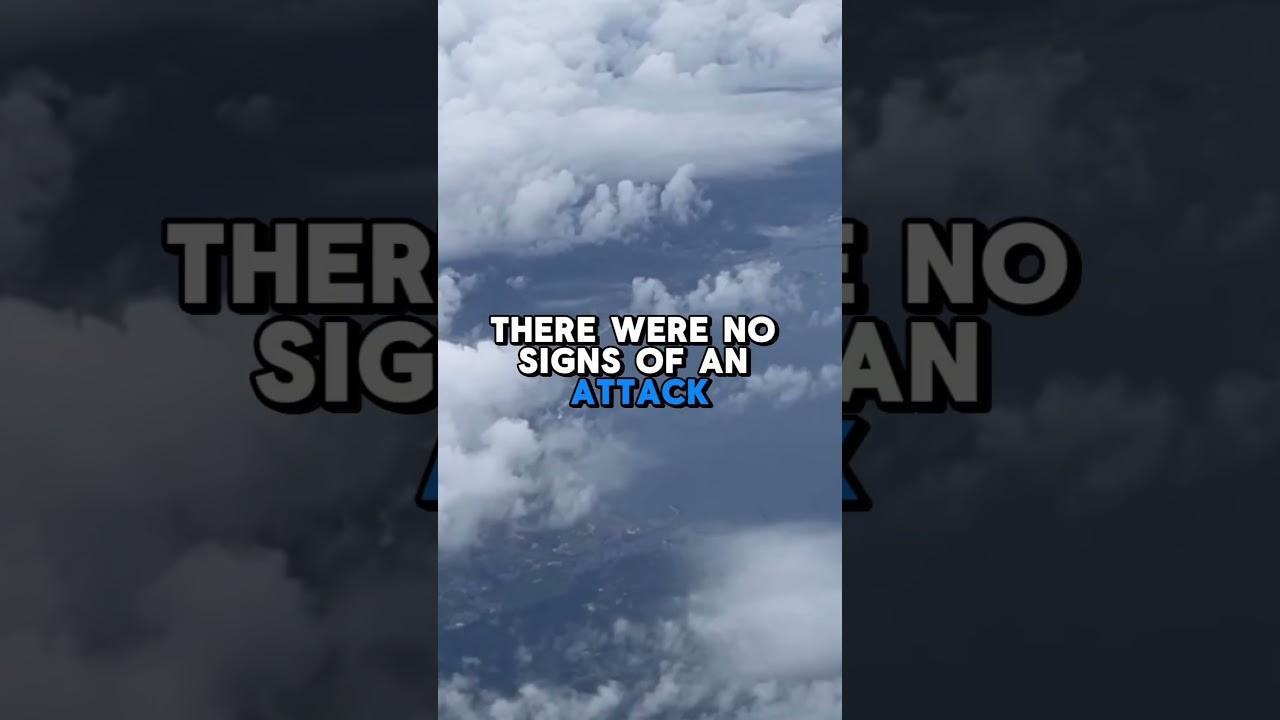 What d you think happened? 