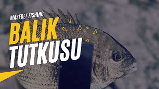 LRF OLTA TAKIMI İLE KARADENİZ'DE İSPARİ BALIĞI NASIL YAKALANIR? /FUJİN YUMMY/OKUMA WAVEPOWER