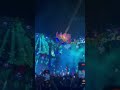 Tomorrowland Brasil abertura da Flor 🪷🌷🌿🌺 #tomorrowland #electronicmusic #festival #rave