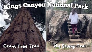 Grant Tree Trail | Big Stump Trail | Kings Canyon National Park