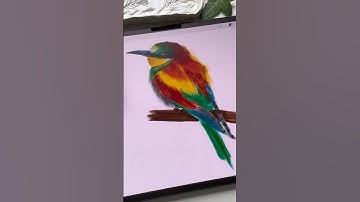 Drawing Process in Procreate - Digital Watercolor Bird #shorts #procreate #tutorial