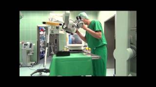 Video-assisted Navigation for Brain Shift Adjustment