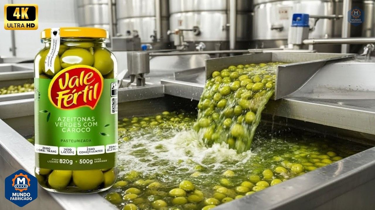 Você não imagina como a AZEITONA em conserva é feita | Mundo Fabricado