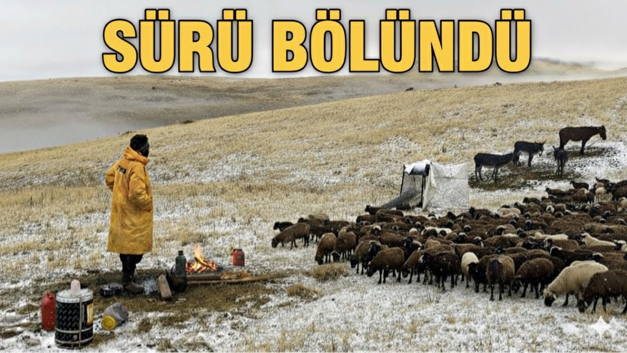 YÜZLERCE KOYUN KAYIP | KARLI SABAHA UYANDIK