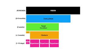 Toyota Kata in Software Development