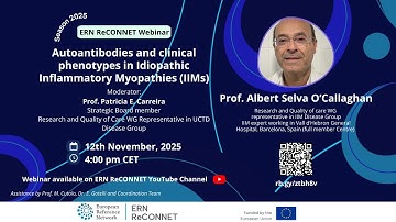 Autoantibodies and clinical phenotypes in Idiopathic Inflammatory Myopathies (IIMs)
