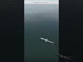 Watch this missile fly low over water… then BAM – Ship gone  | War Thunder #shorts