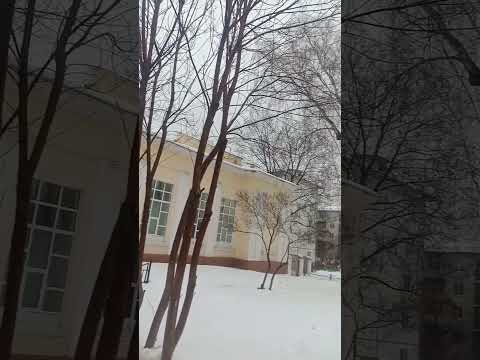 г.Пушкино, Московский проспект