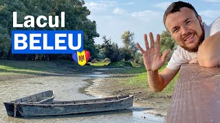 Natura sălbatică sudului Moldovei. Lacul Beleu - cel mai mare din Moldova, rezervaţie naturala, Prut