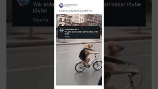 Köpek bankayı soymuş olabilir mi? 😂