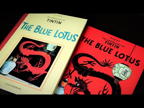 Tintin Books Review