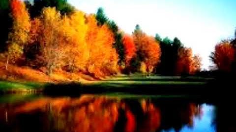 سورة الاخلاص بصوت القارئ وديع اليمني