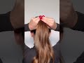The Barbie Ponytail Step By Step Ponytail