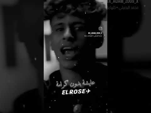 23 أكتوبر 2025